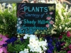 plants-courtesy-of-shady-hill