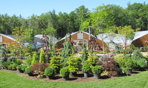 Home Shadyhill Greenhouses Shady, Landscaping Londonderry Nh